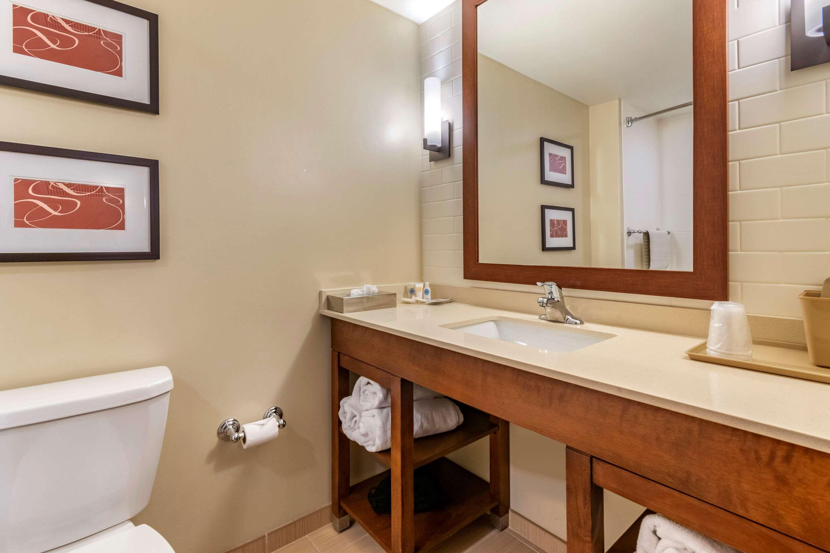 Comfort Suites Manheim - Lancaster Экстерьер фото
