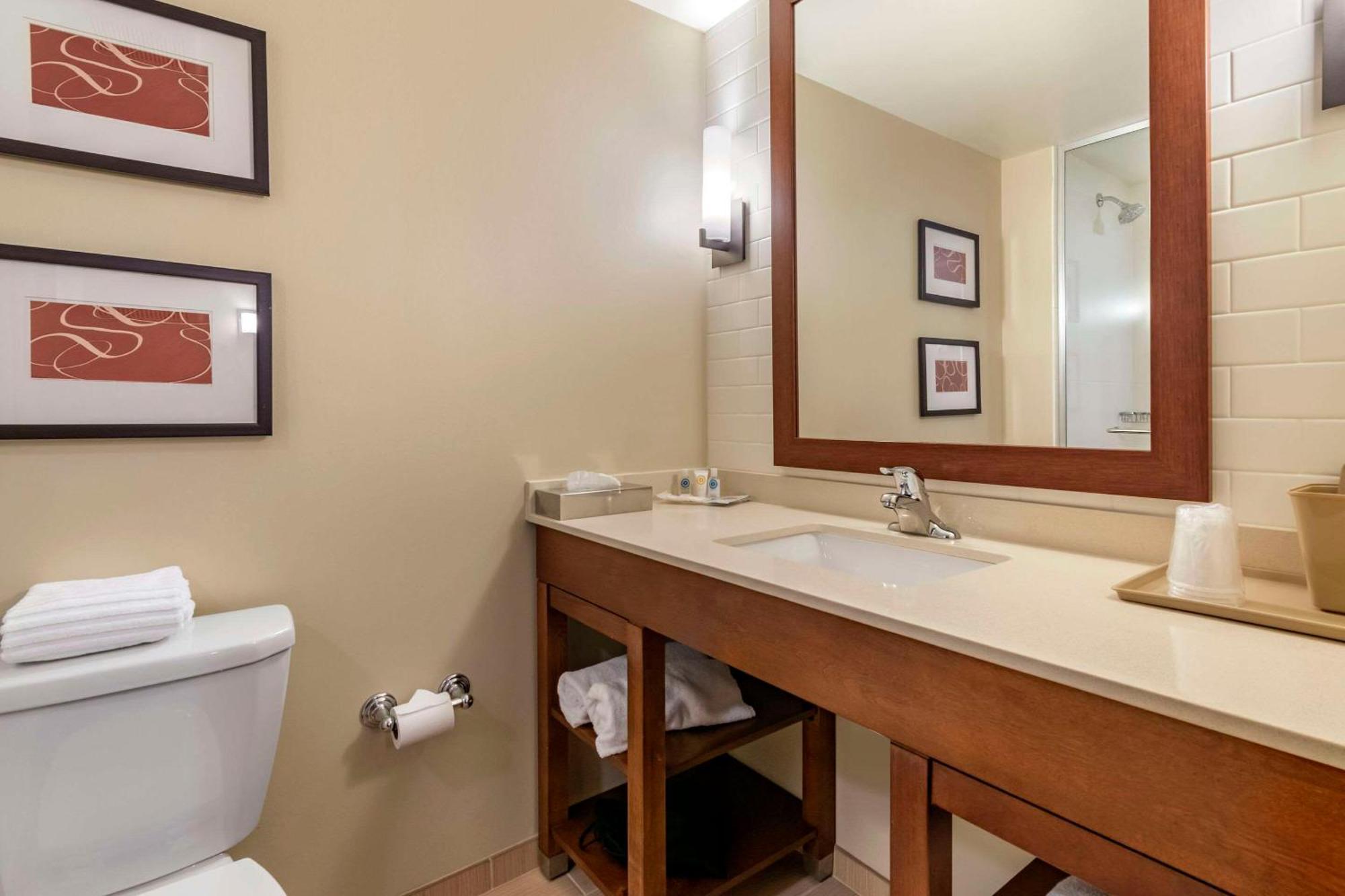 Comfort Suites Manheim - Lancaster Экстерьер фото